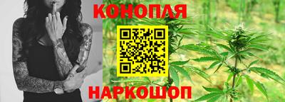 spice Новозыбков