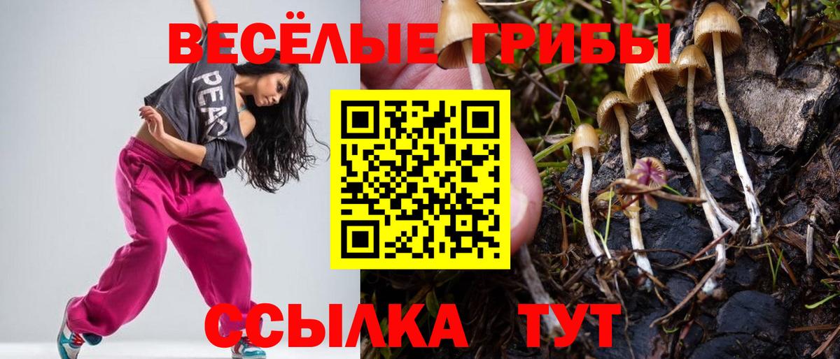 Галлюциногенные грибы MAGIC MUSHROOMS Топки
